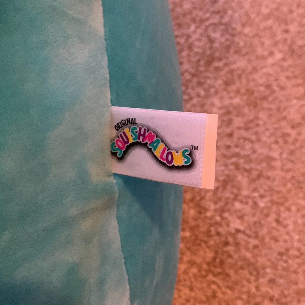 Vanessa 16 inch Squishmallow- super clean - Picture 4 of 5